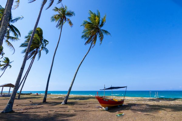 Unearth london's secret food treasures: the definitive guide to budget-friendly gourmet experiences