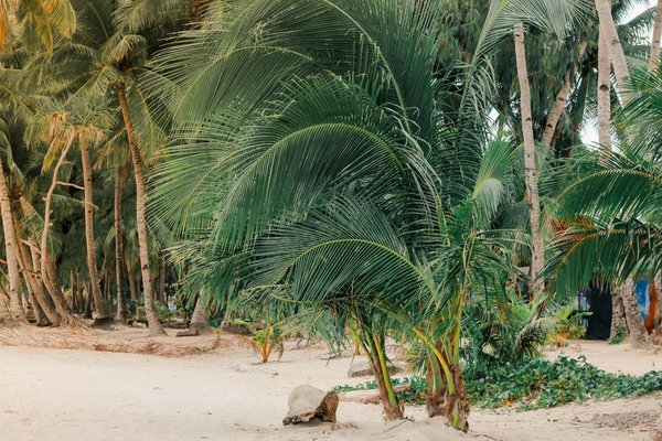 Uncover the uk's best-kept secrets: hidden gems for the adventurous traveler